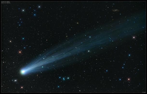 This amazing photograph of Comet ISON was captured by Damian Peach on November 17, 2013.
