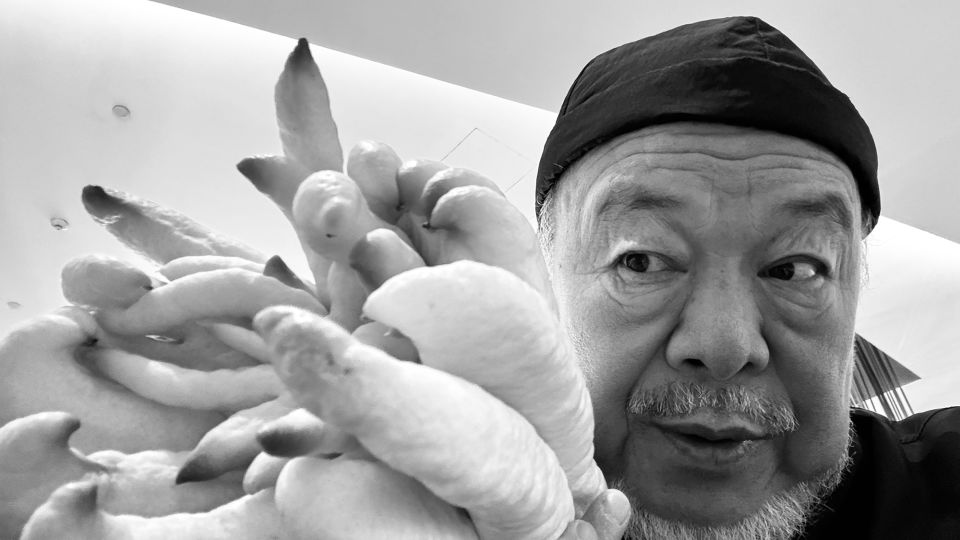A picture taken of Ai during his Beijing trip posing with the Foshou or "Buddha’s Hand" plant that grows in Jinhua, where his ancestral family home is. - Courtesy of Ai Weiwei Studio