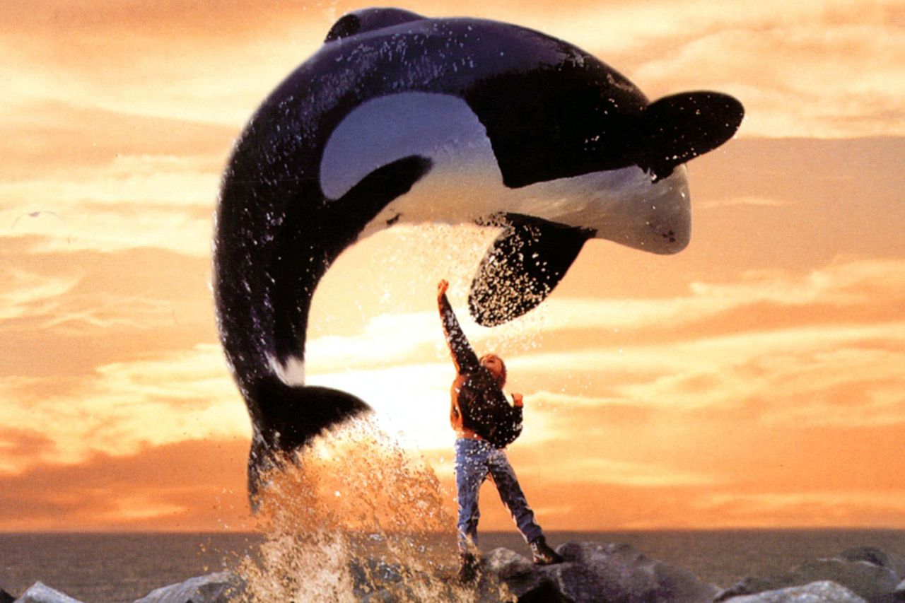 Warner Bros/Kobal/Shutterstock Free Willy 1993