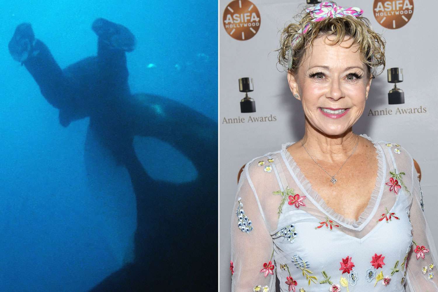 Roku; Rodin Eckenroth/Getty Free Willy; Debi Derryberry