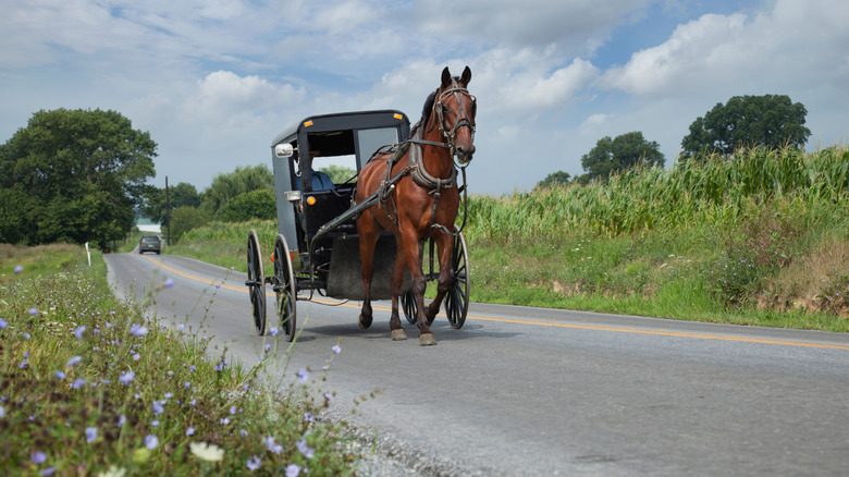How One Costco In Pennsylvania Caters To Amish Shoppers