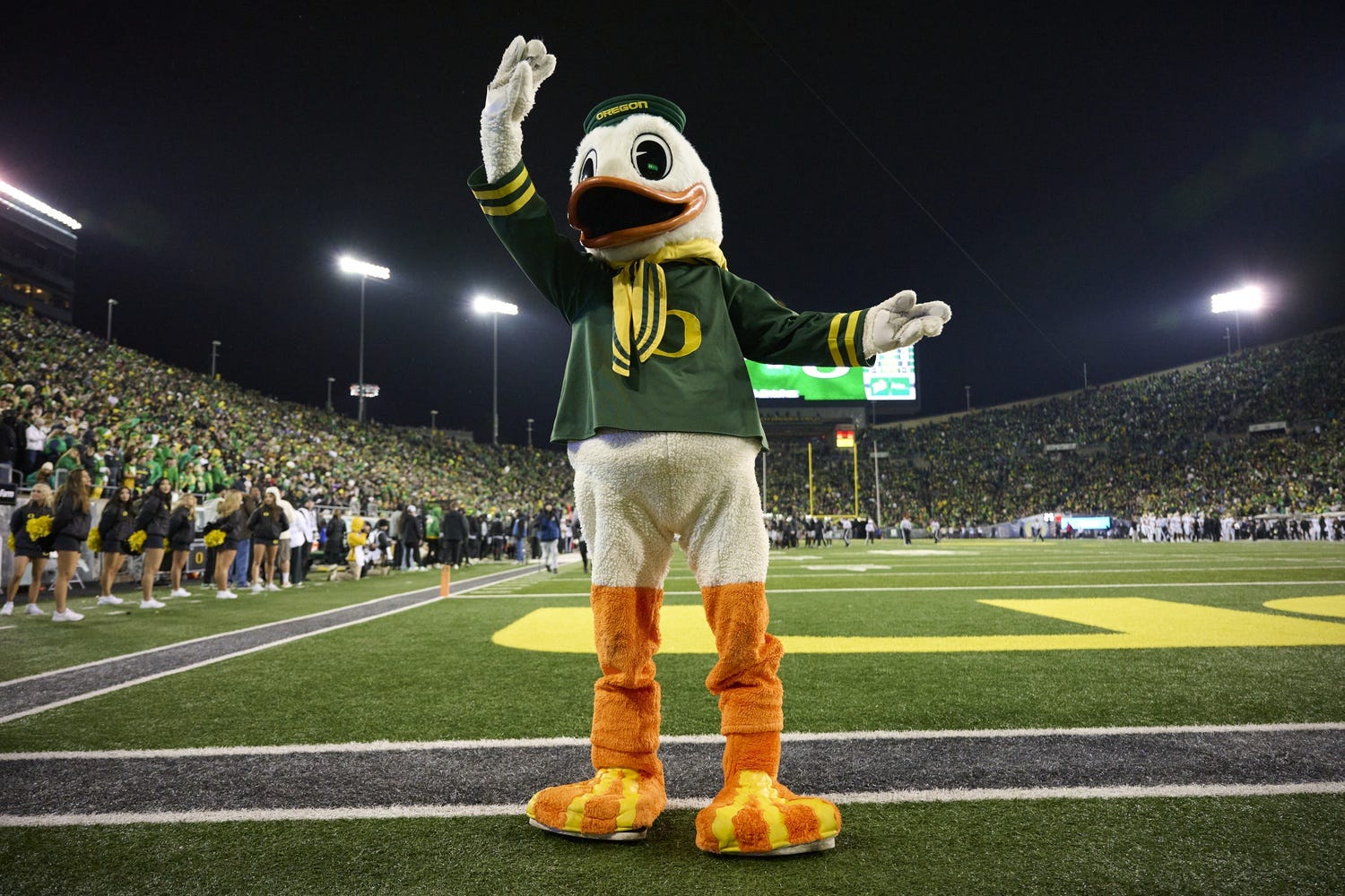 Nov 30, 2024; Eugene, Oregon, USA; Puddles the Oregon Ducks mascot takes a bow during the second half against the Washington Huskies at Autzen Stadium. Mandatory Credit: Troy Wayrynen-Imagn Images