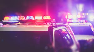 Brier homeowners allegedly held at gunpoint and assaulted during robbery