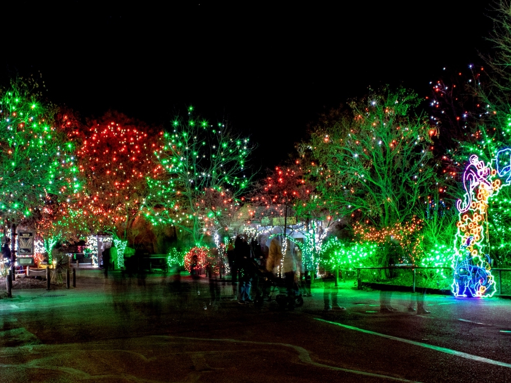 Denver Zoo Lights Tickets Go On Sale