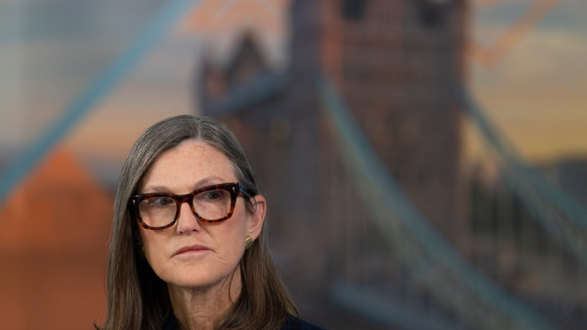 Cathie Wood sends blunt 3-word message on stock outlook in 2026