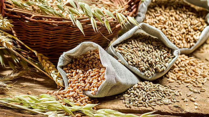 Five EU countries reject Kyiv's plan to limit export of agricultural products – media - Vimarsana News
