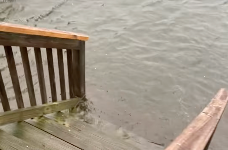 Storm Surge Floods Belhaven as Ophelia Makes Landfall in North Carolina